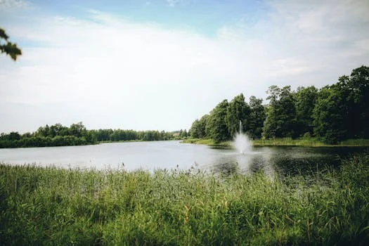 dissolved oxygen controller aeration - Frequently Asked Questions