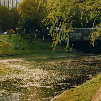 industrial effluent limits saudi arabia - Common Permit Pitfalls and How to Avoid Them