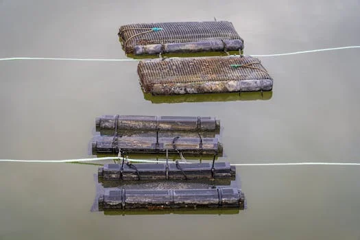 mbr vs sbr which is better - Performance Comparison: Effluent Quality and Contaminant Removal