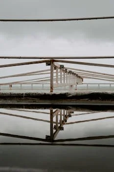 tube settler vs plate settler which is better - Decision Framework: Matching Technology to Your Plant's Needs