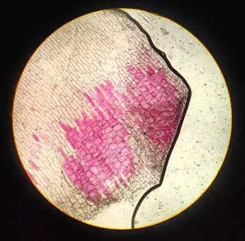 water reuse technology trends - Performance Benchmarks: What to Expect from Water Reuse Systems