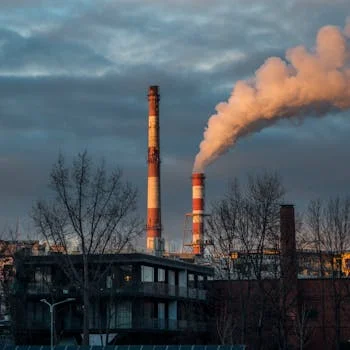 activated carbon filter for food processing - Choosing the Right Activated Carbon Filter: A Decision Framework for Food Plants