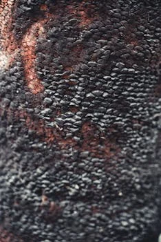 activated carbon filter for food processing - Cost Breakdown: CAPEX, OPEX, and ROI for Food Processing Plants