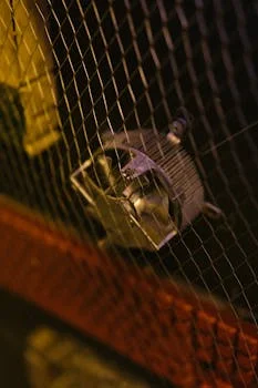 coarse screen inlet works troubleshooting - Frequently Asked Questions