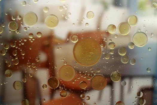 daf system in japan - DAF System Working Principle: Micro-Bubble Flotation Explained