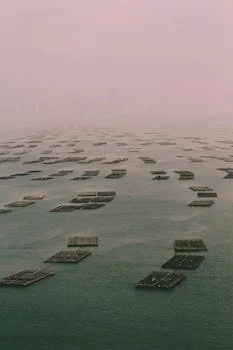 daf system in uzbekistan - DAF System Specifications for Uzbekistan: Flow Rates, Removal Efficiencies, and Footprint