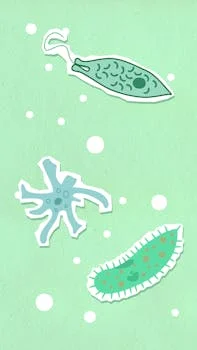 flat sheet mbr membrane manufacturer - Total Cost of Ownership: CAPEX vs OPEX Analysis