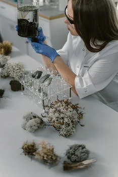 hospital wastewater treatment in addis ababa - Key Challenges in Addis Ababa’s Healthcare Facilities