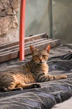 hospital wastewater treatment in greece - Frequently Asked Questions