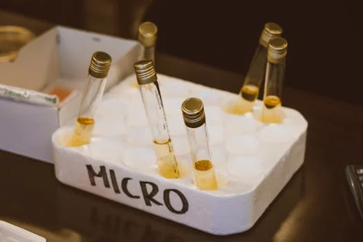 hospital wastewater treatment in java indonesia - Hospital Wastewater Contaminants in Java: Sources, Concentrations, and Treatment Challenges