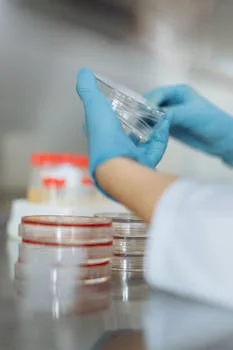 hospital wastewater treatment in minas gerais brazil - Advanced Technologies for Hospital Wastewater Treatment