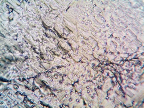how to prevent membrane fouling mbr - Control Mixed Liquor Properties