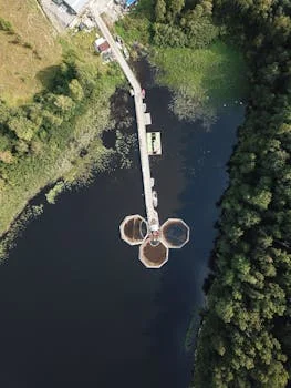 how to treat palm oil mill effluent - Frequently Asked Questions