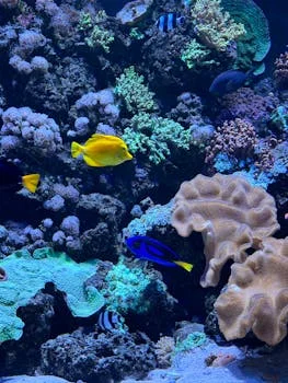 industrial wastewater treatment in saint-louis - DAF vs. MBR vs. Conventional Systems: Which Technology is Right for Your Saint-Louis Facility?