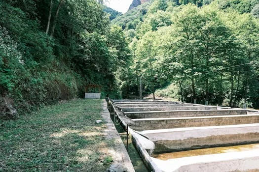 lamella clarifier troubleshooting - Symptom 1: Cloudy Effluent Despite Proper Chemical Dosing