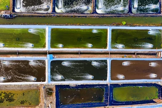 mbr wastewater treatment system in cameroon - Frequently Asked Questions