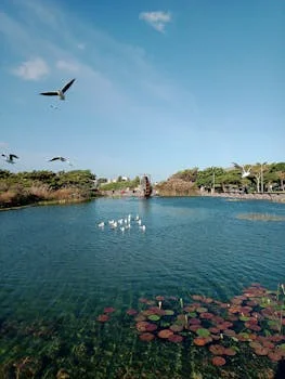 package sewage treatment plant troubleshooting - Blower Failure and Low Dissolved Oxygen