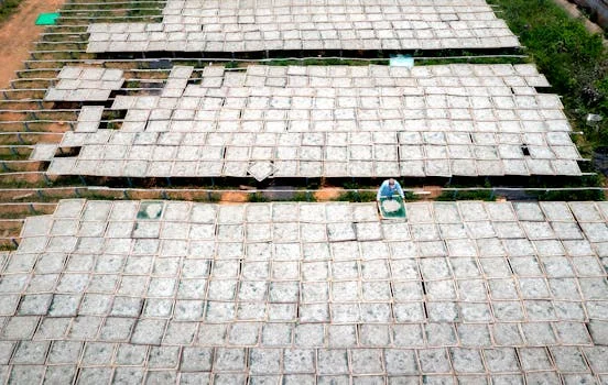 package wastewater treatment plant in haryana india - Package Wastewater Treatment Plant Technologies for Haryana: MBR vs. SBR vs. A/O