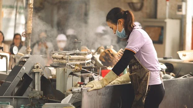 plate frame filter press vs alternatives - Recessed Chamber Filter Presses: The Modern Standard for Dryer Cake and Automation