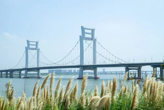 ro membrane system vs alternatives - Ultrafiltration and Microfiltration: Particle-Based Separation