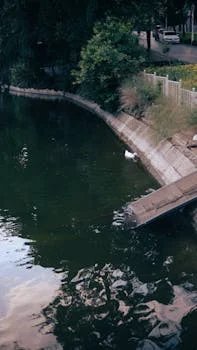 sewage treatment equipment supplier in cebu - Related Guides and Technical Resources