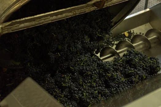 sludge dewatering system manufacturer - Key Performance Parameters Buyers Must Evaluate