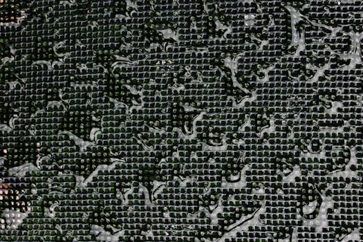 sludge press equipment manufacturer - Key Performance Parameters for Industrial Sludge Presses