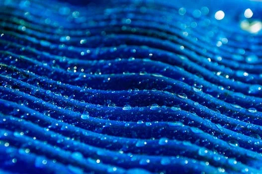 sludge press equipment troubleshooting - Step-by-Step Troubleshooting for Low Cake Solids and Poor Dewatering