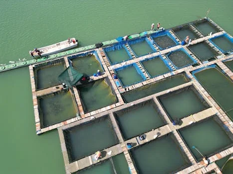 submerged membrane bioreactor manufacturer - How to Choose a Leading Submerged MBR Manufacturer: A Decision Framework