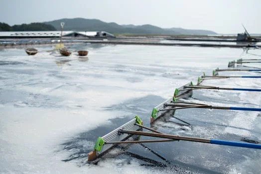 wastewater treatment regulations vietnam - Key 2025 Updates: What’s Changing in Industrial Wastewater Rules