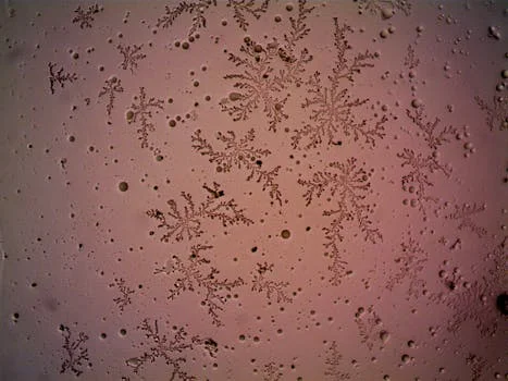 what causes mbr membrane fouling - Comparison of MBR Fouling Types and Treatment Methods