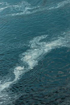 why is my wastewater treatment not working - Symptom: Sludge Build-Up or Thickening Failure