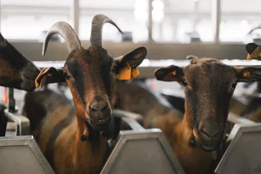 food processing wastewater treatment in kazakhstan - Wastewater Characteristics by Food Industry Segment: Meat, Dairy, and Beverage
