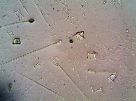 how does micro bubble flotation work - 3 Methods for Generating Microbubbles: Dissolved Air, Electrolysis, and Mechanical Shear Compared