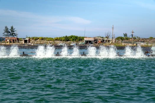 industrial wastewater treatment in jaipur - Common Problems and Solutions: Operating Wastewater Treatment Plants in Jaipur
