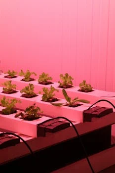 LED wastewater treatment solution - Frequently Asked Questions
