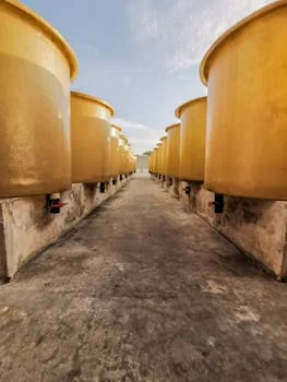 monocrystalline silicon wastewater treatment cost - Technology Comparison: DAF vs. MBR vs. Hybrid Systems for Silicon Wastewater