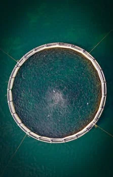 PV wastewater treatment project - Engineering Specs for a 500 m³/day PV Wastewater Treatment Project