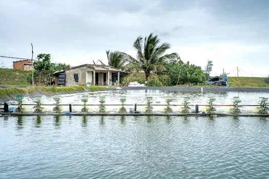 sewage treatment equipment supplier in kumasi - Kumasi-Specific Compliance Requirements for Sewage Treatment Equipment