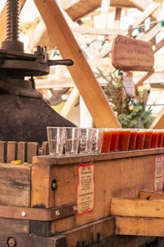 sludge dewatering equipment in morocco - Technical Specifications: What to Look for in Sludge Dewatering Equipment for Morocco