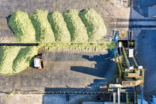 sludge dewatering equipment in philippines - Supplier Decision Framework: How to Choose the Right Sludge Dewatering Equipment for Your Facility
