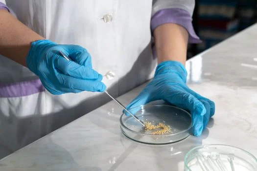 hospital wastewater treatment in lisbon - Lisbon Hospital Wastewater Characteristics: AgIR Project Data Breakdown