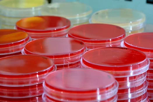 hospital wastewater treatment in sihanoukville - Frequently Asked Questions