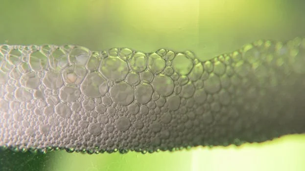 how does dissolved air flotation system work - DAF vs. Sedimentation vs. MBR: Which System is Right for Your Wastewater?