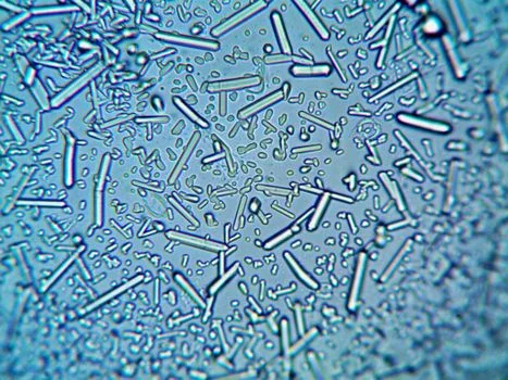 industrial wastewater treatment in thessaloniki - Matching Contaminants to Treatment Technologies: A Decision Framework for Thessaloniki Industries