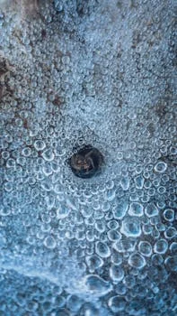 water purification system working principle - Dissolved Air Flotation (DAF) Working Principle: Microbubble Physics and TSS Removal