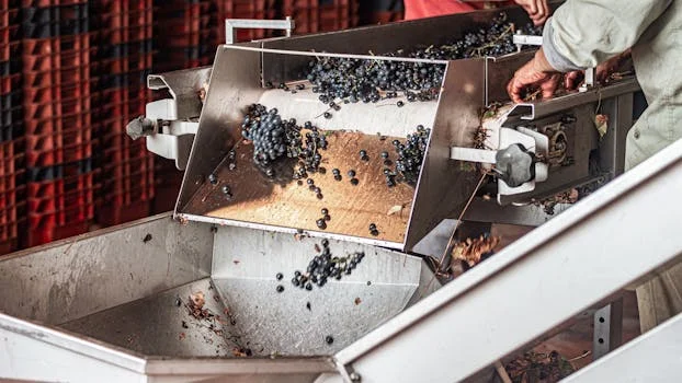 what is screw press dewatering - Key Parameters That Affect Screw Press Performance