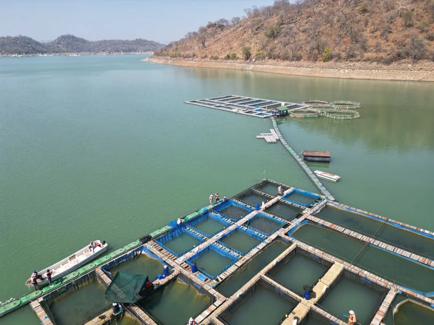 Integrating Water Reuse: Closing the Loop in RAS Facilities
