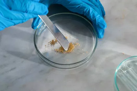 best technology for fluoride removal - Ion Exchange Resin: When Low-Fluoride Effluent Is the Priority