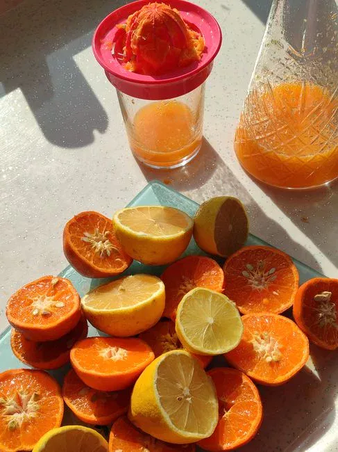 Sizing the Press: Filter Area, Cycles, and Cake Dryness